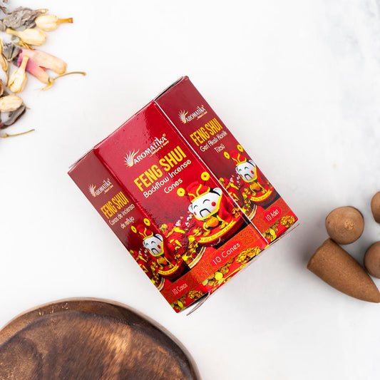 Feng Shui Backflow Incense – Pack of 10